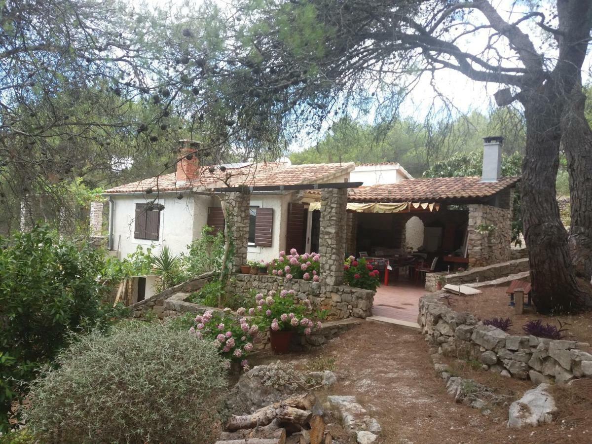 Juka House Villa Милна Екстериор снимка
